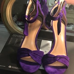 Gorgeous purple heels